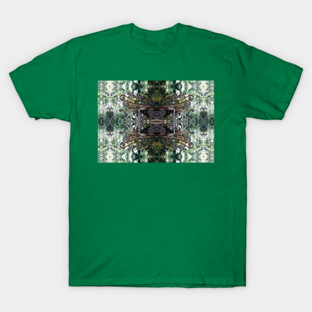 Fractal flowers T-Shirt by Shtakorz